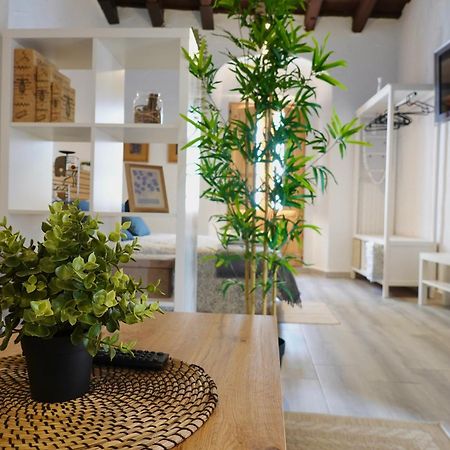 Apartamento Astaregia เฮเรซ เด ลาฟรอนเตรา ภายนอก รูปภาพ