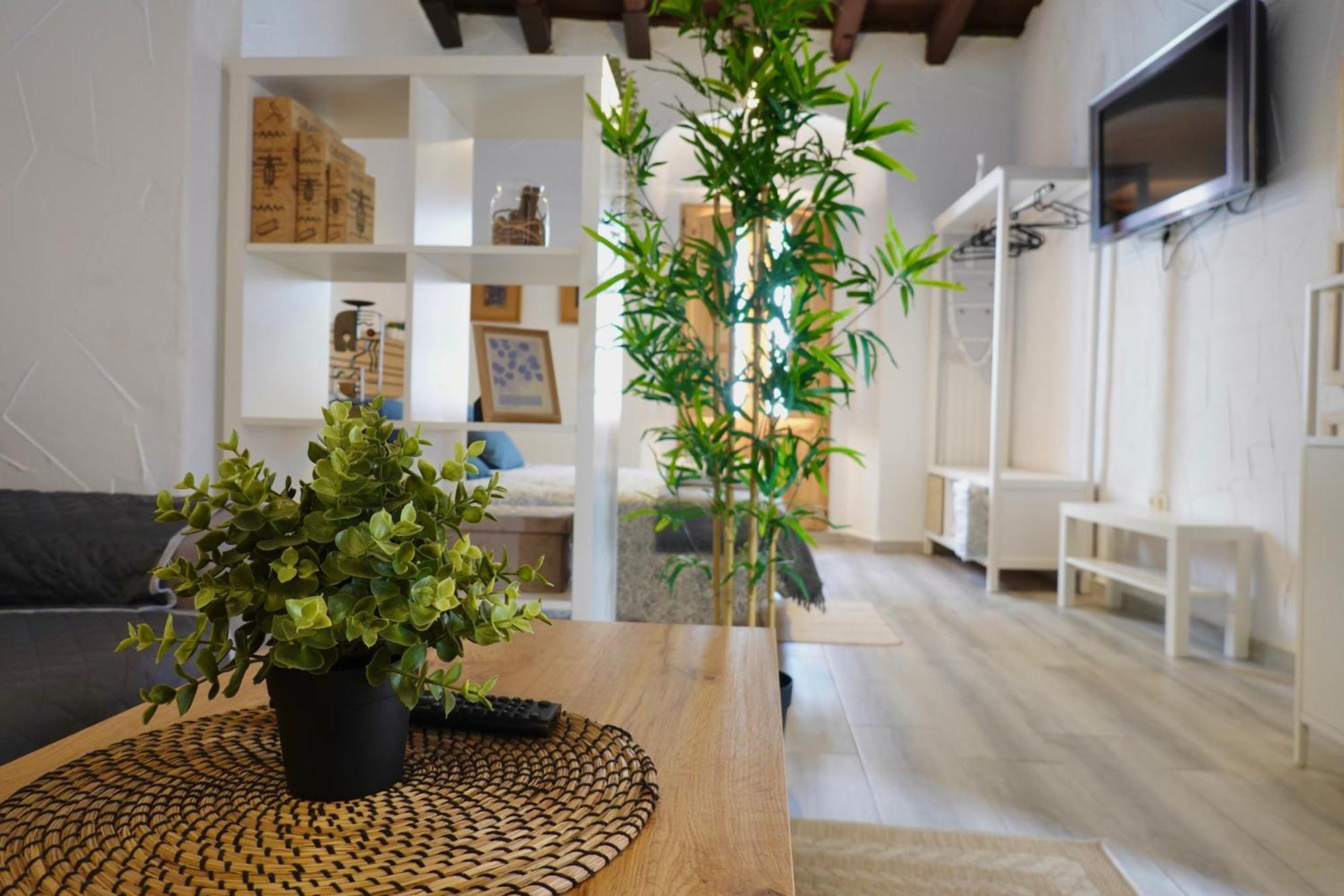Apartamento Astaregia เฮเรซ เด ลาฟรอนเตรา ภายนอก รูปภาพ